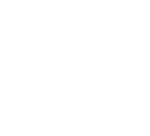 Wild Apple Design Group